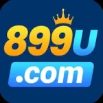 899U Game